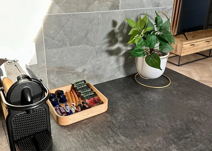 Magnifique Appartement ,10 Min Orly Aeroport